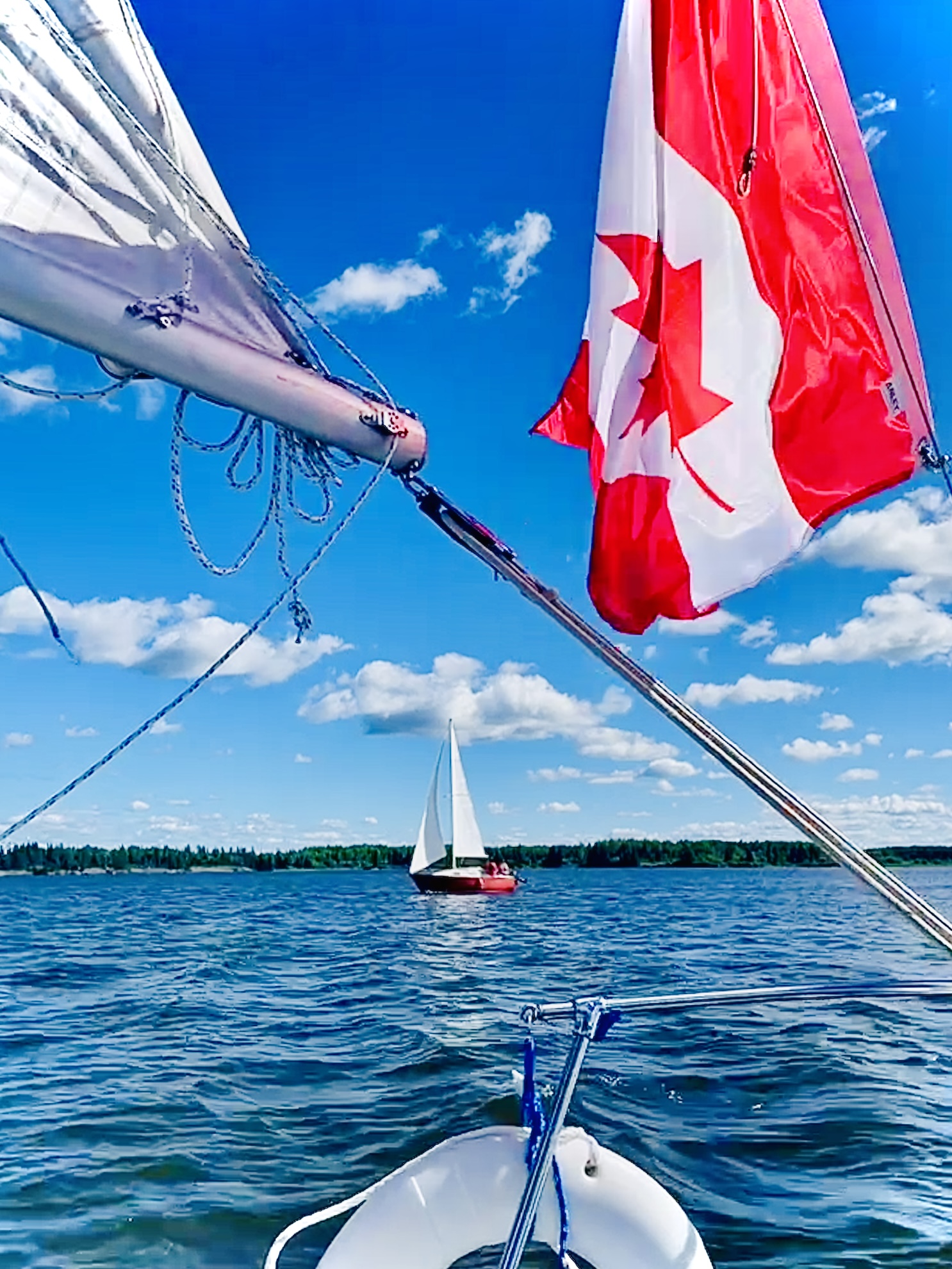 A sailboat sailing on a sunny blue day with another sail and Canadian flag in the foreground
