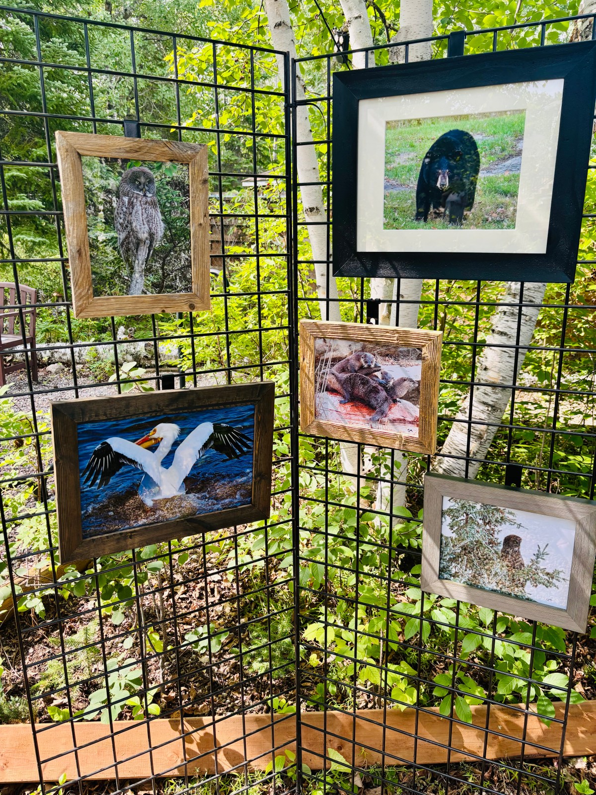 Art in the&nbsp;Garden