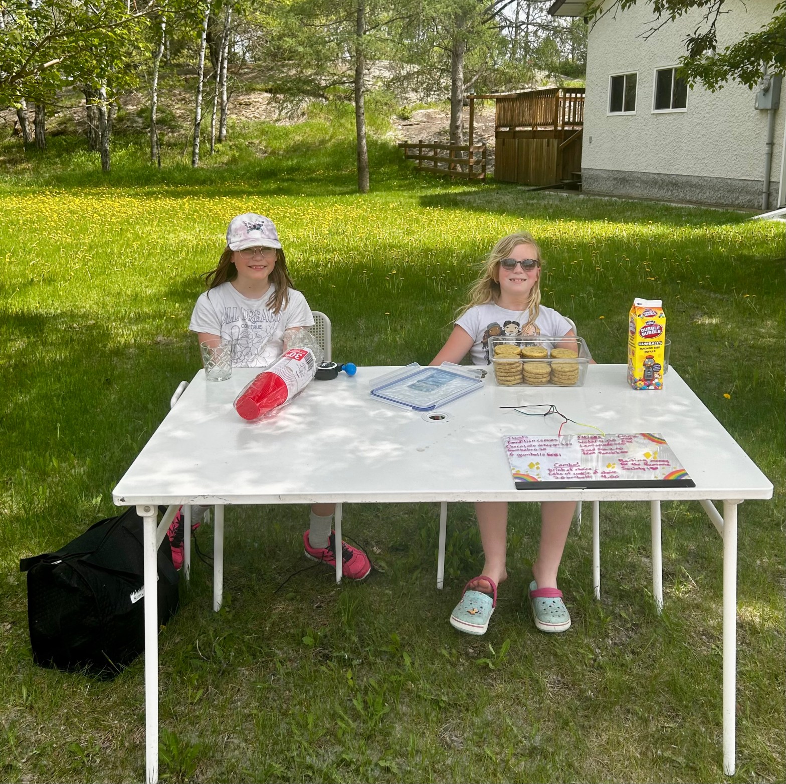 two girls selling lemonade on a sunny day