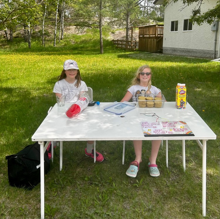 two girls selling lemonade on a sunny day